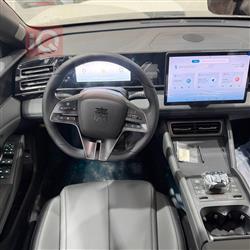 بي واي دي كوين L DM-i